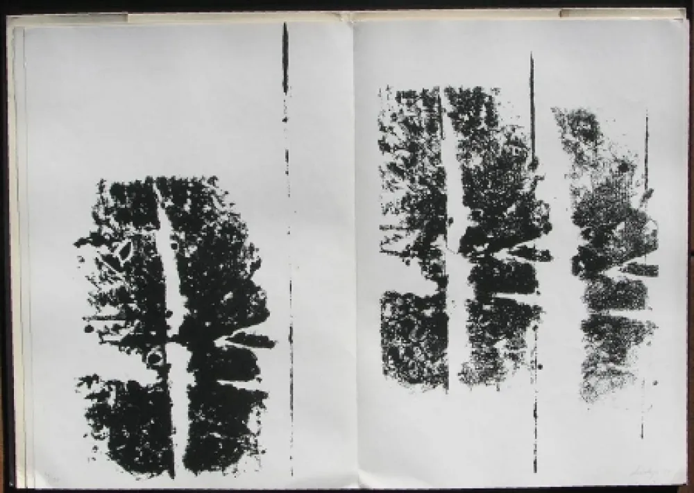 Illustriertes Buch Scialoja - Toti Scialoja. Quattro litografie