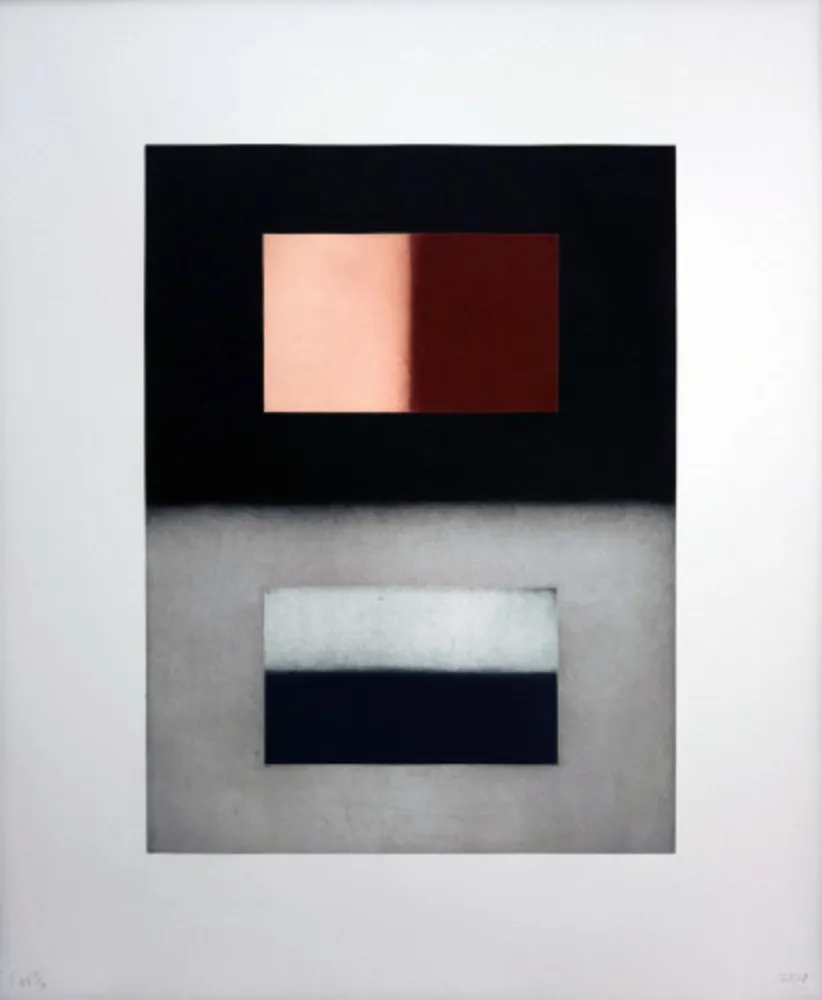 Radierung Und Aquatinta Scully - Liliane 5