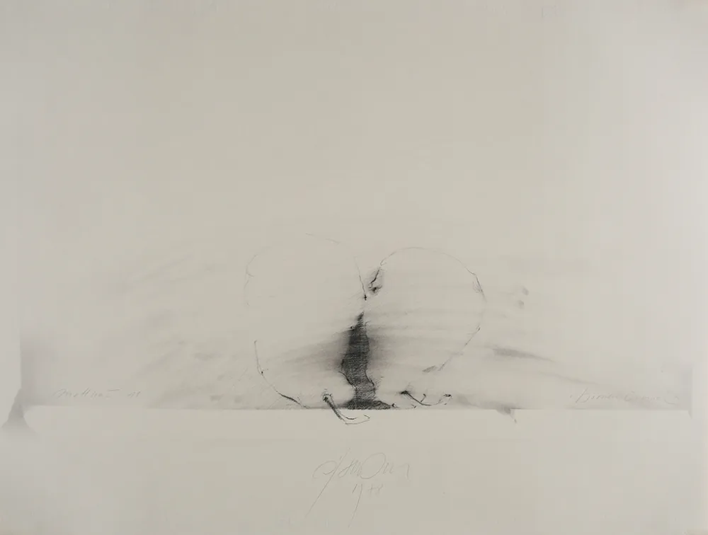 Keine Technische Sensen - Mettnau 11.  Birnen-vaginal