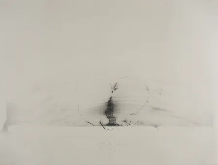 Keine Technische Sensen - Mettnau 11.  Birnen-vaginal