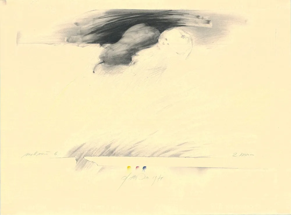 Keine Technische Sensen - Mettnau 6— 2 Birnen