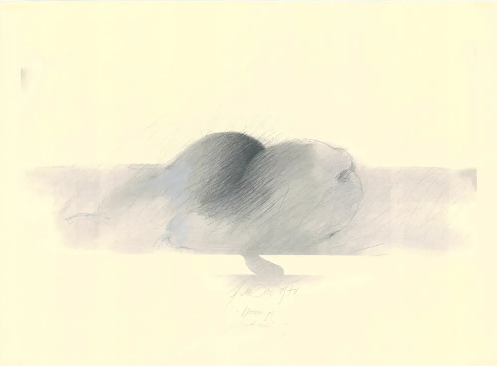 Keine Technische Sensen - Mettnau 9.  Birnen po