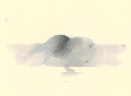 Keine Technische Sensen - Mettnau 9.  Birnen po