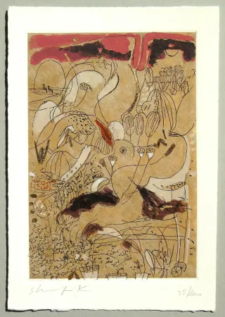 Aquatinta Shafik - Senza titolo