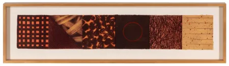 Lithographie Shapiro - Savasan