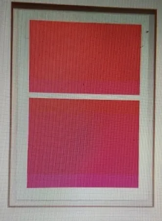 Siebdruck Shepherd - State Theater on Bikini Pink