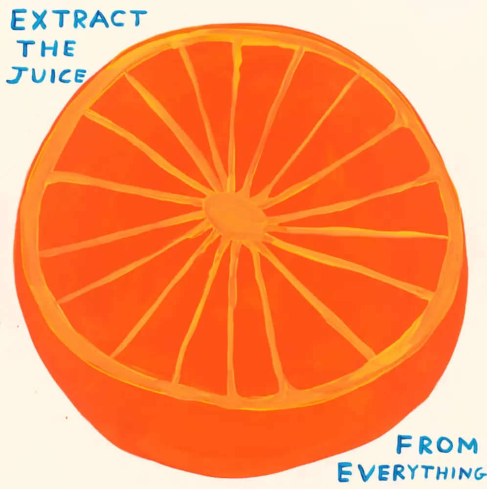 Siebdruck Shrigley - Extract The Juice