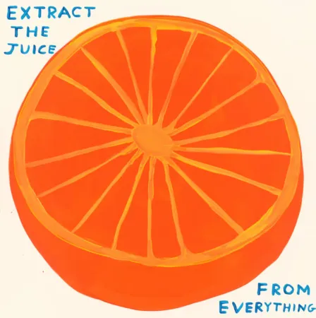 Siebdruck Shrigley - Extract The Juice