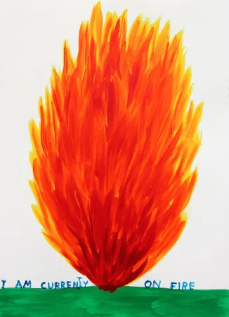 Siebdruck Shrigley - I Am Currently On Fire