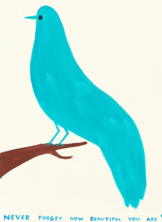 Multiple Shrigley - Never Forget How Beautiful You Are