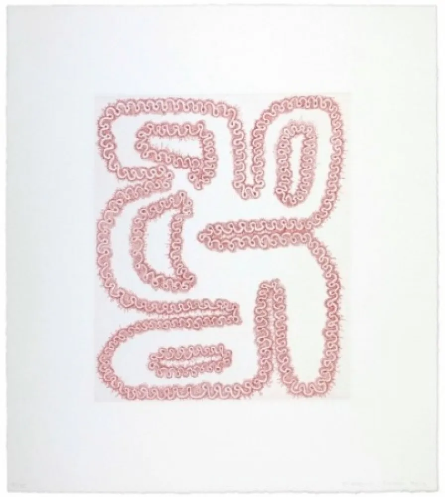 Stich Siena - Roda tergiversada amb quatre forats