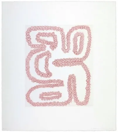 Stich Siena - Roda tergiversada amb quatre forats