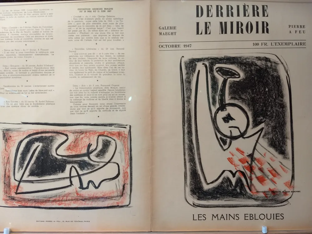 Illustriertes Buch Signovert - DLM no5