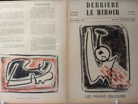 Illustriertes Buch Signovert - DLM no5