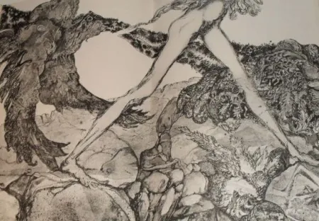 Illustriertes Buch Simon - Die Suchende / Celle qui cherche