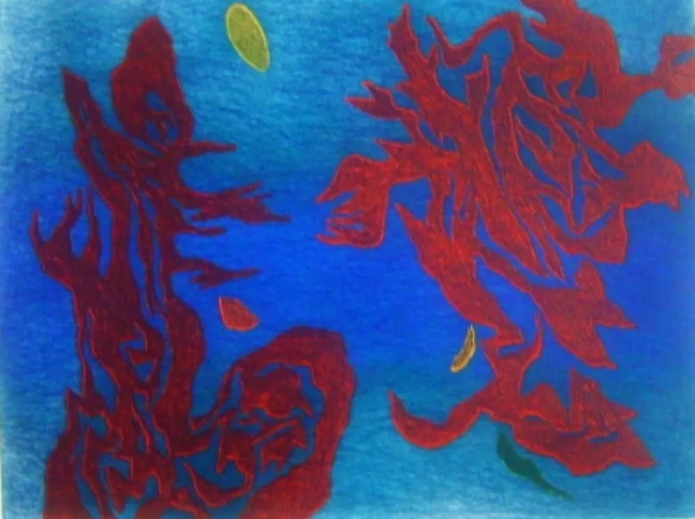 Aquatinta Singier - Aquathème