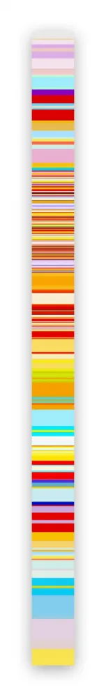 Fotografie Snell - Lumina # 201603