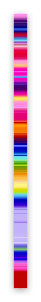 Fotografie Snell - Lumina # 202102