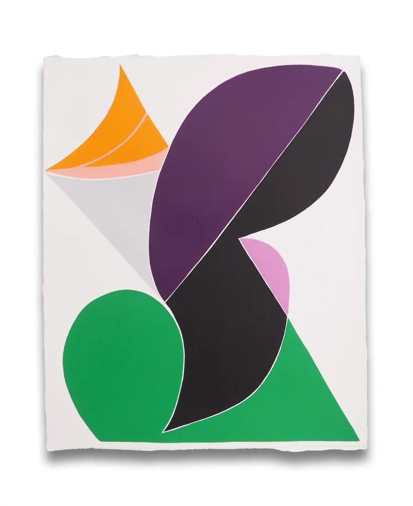 Keine Technische Snow - Finite Field