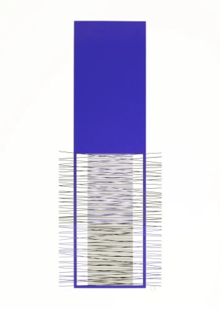 Siebdruck Soto - Caroni (Purple) 