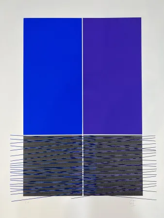 Siebdruck Soto - Composition