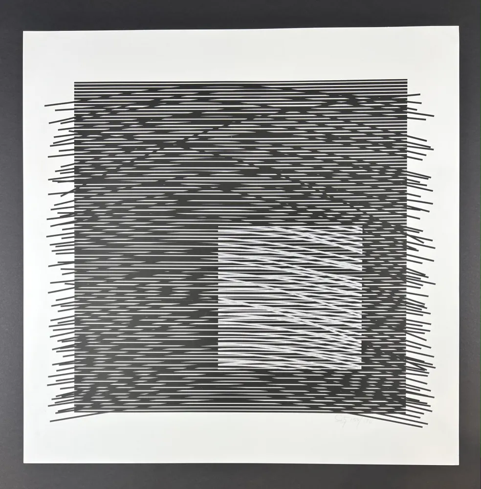 Siebdruck Soto - Composition