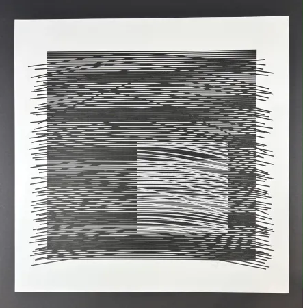 Siebdruck Soto - Composition