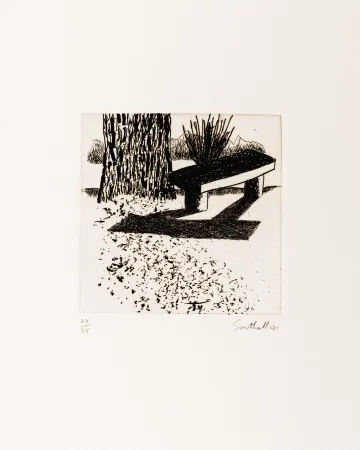 Stich Southall - From Black and White of Brick and Bark (Bench)