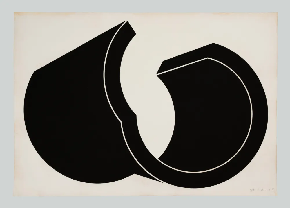 Stich Spagnulo - Composizione