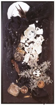 Keine Technische Spoerri - Büsser-Jacke als Vogelfrass