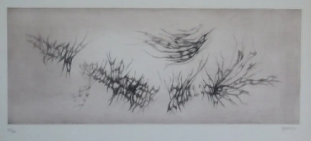 Radierung Und Aquatinta Springer - Racines