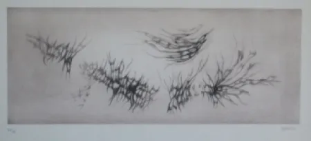 Radierung Und Aquatinta Springer - Racines