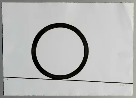 Stich Staccioli - Composizione