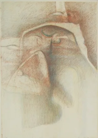 Illustriertes Buch Stradella  - Vedo coi loro occhi ciechi