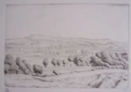 Stich Strang - A Sussex Farm