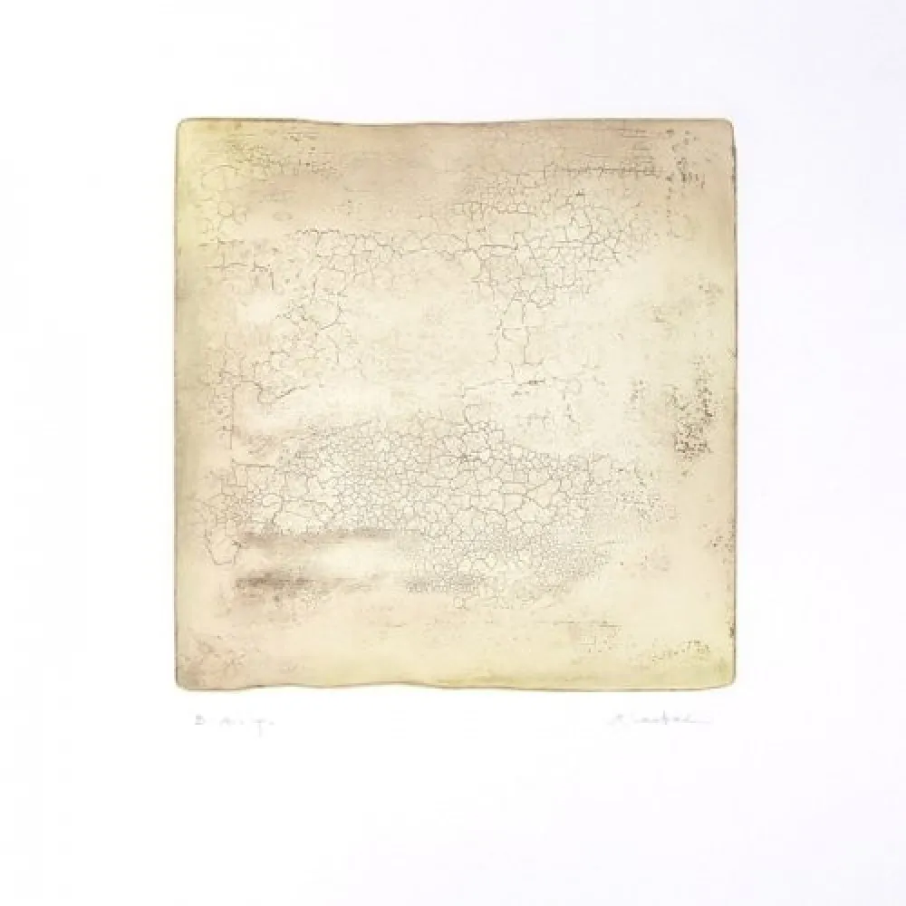 Stich Su - Inactness B