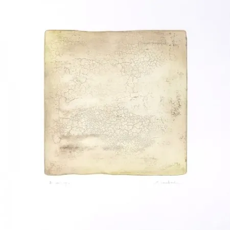 Stich Su - Inactness B