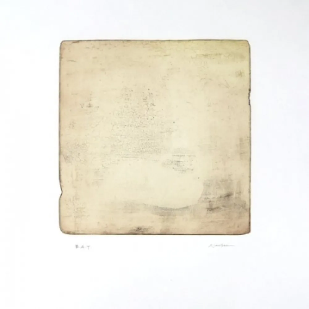 Stich Su - Intactness A