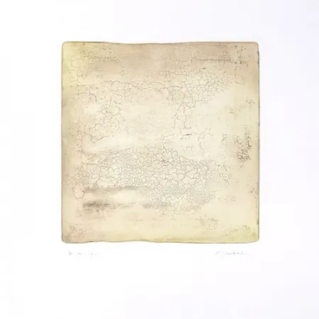 Stich Su - Intactness B