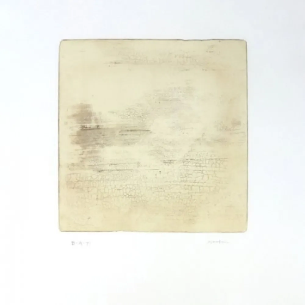 Stich Su - Intactness C