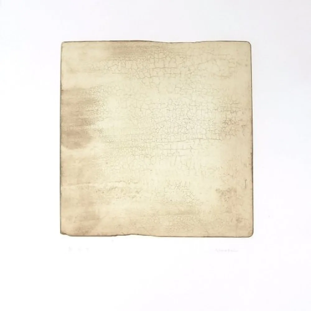 Stich Su - Intactness D