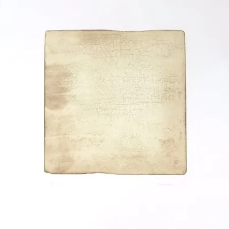 Stich Su - Intactness D