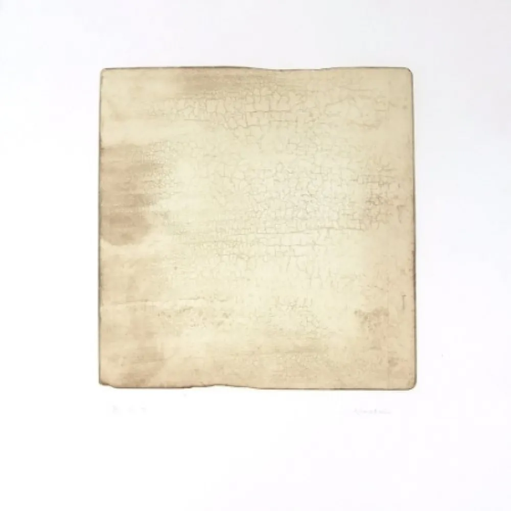 Stich Su - Intactness D