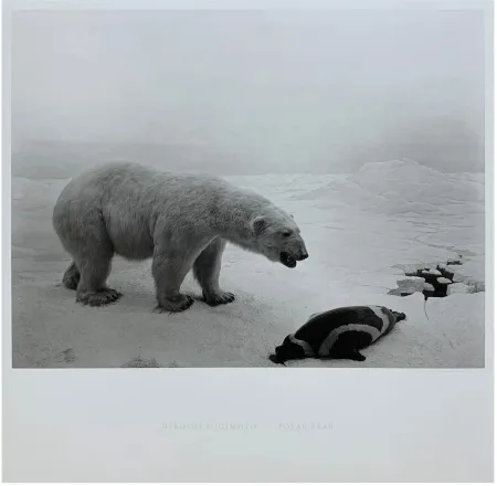 Multiple Sugimoto - Polar Bear