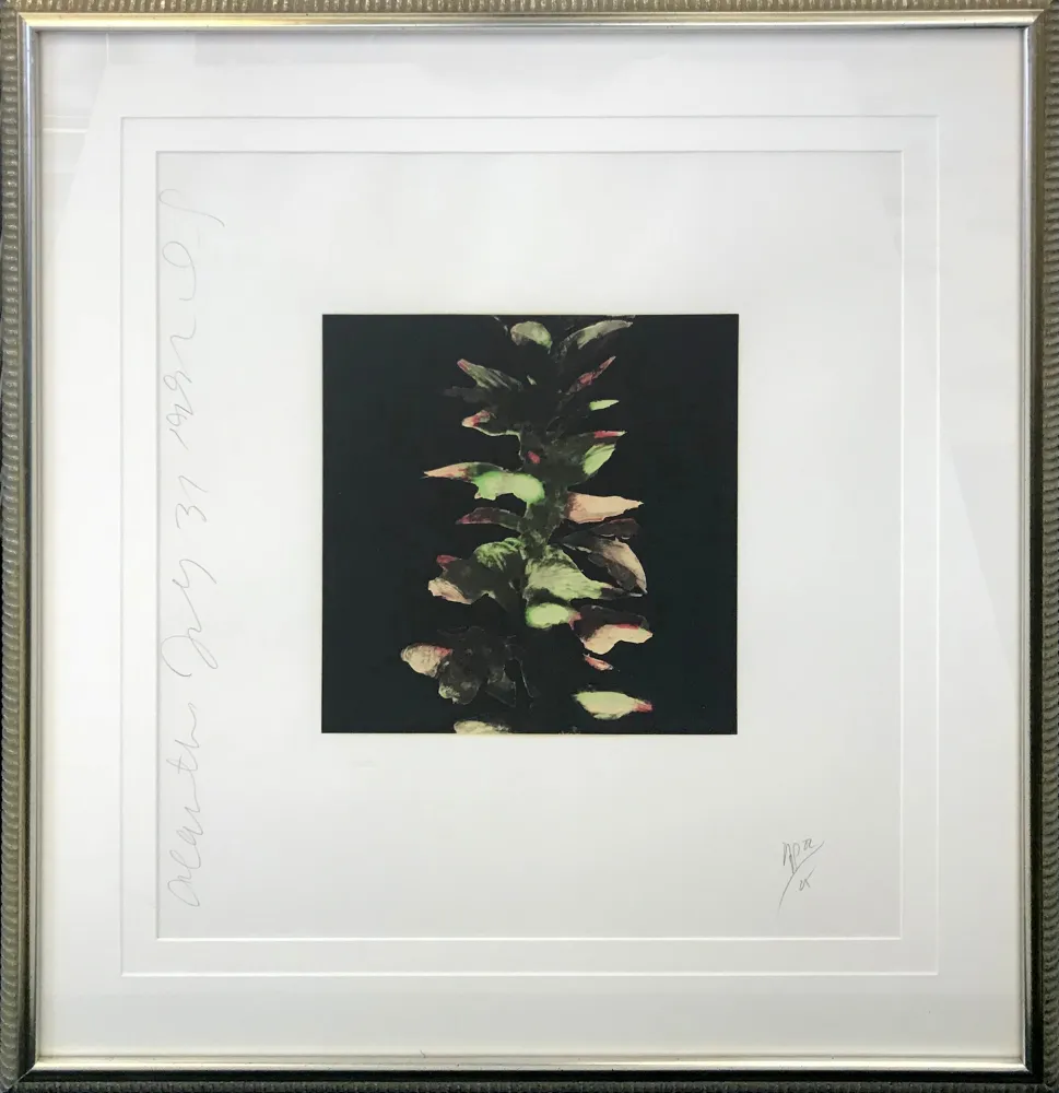 Siebdruck Sultan - ACANTHUS