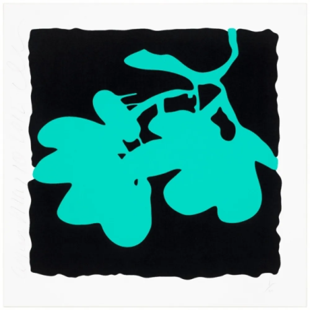 Siebdruck Sultan - Aqua, May 10, 2012