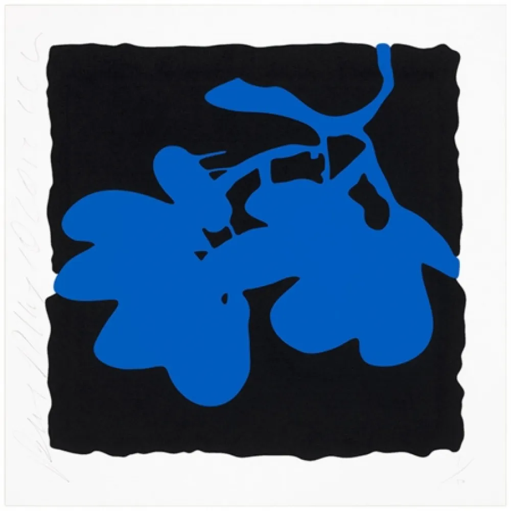 Siebdruck Sultan - Blue, May 10, 2012