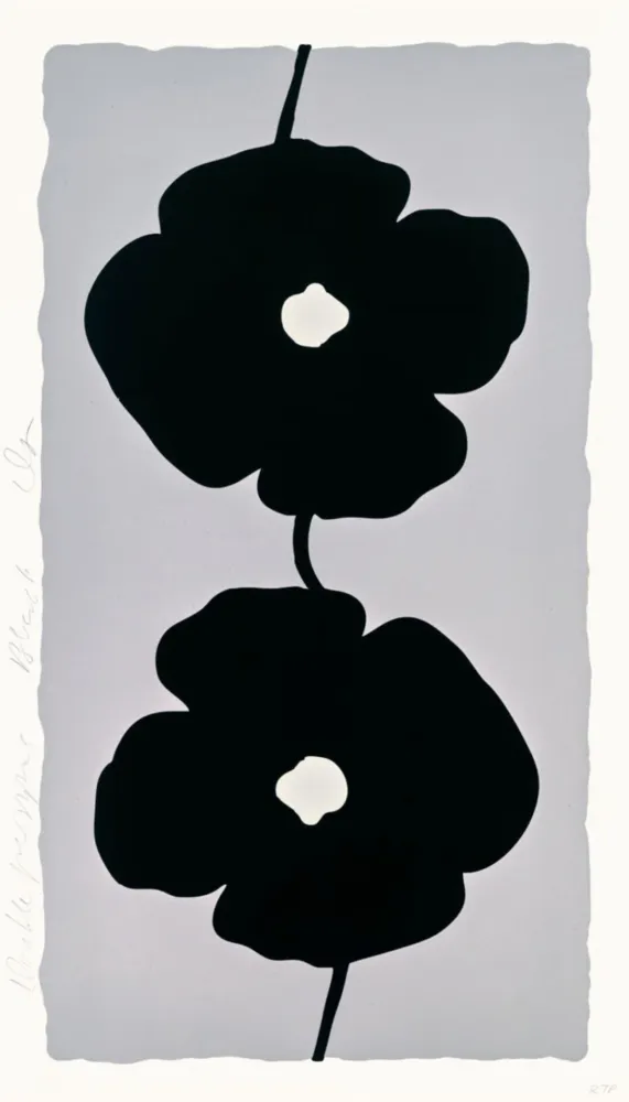 Multiple Sultan - Double Poppies Black