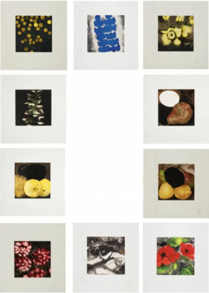 Siebdruck Sultan - Fruit & Flowers