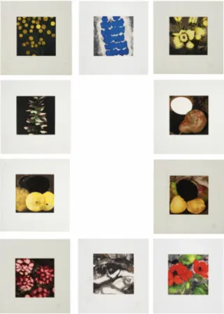 Siebdruck Sultan - Fruit & Flowers